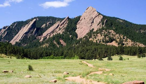 Boulder. A brother. A business plan.